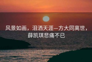 風(fēng)景如畫(huà)，淚灑天涯—方大同離世，薛凱琪悲痛不已