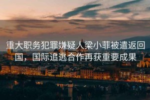 重大職務(wù)犯罪嫌疑人梁小菲被遣返回國，國際追逃合作再獲重要成果