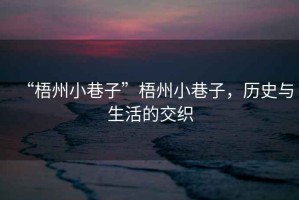“梧州小巷子”梧州小巷子，歷史與生活的交織
