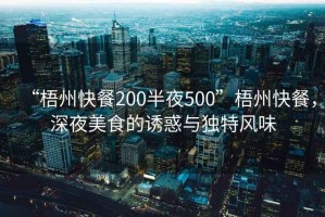 “梧州快餐200半夜500”梧州快餐，深夜美食的誘惑與獨特風(fēng)味