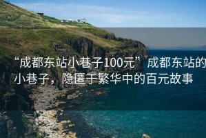 “成都東站小巷子100元”成都東站的小巷子，隱匿于繁華中的百元故事