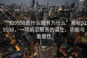 “929598是什么服務(wù)為什么”揭秘929598，一項前沿服務(wù)的誕生、功能與重要性