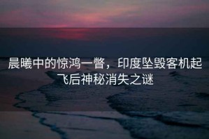 晨曦中的驚鴻一瞥，印度墜毀客機起飛后神秘消失之謎