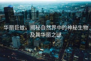 華麗巨蚊，揭秘自然界中的神秘生物及其華麗之謎