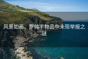 風(fēng)景如畫(huà)，羅帥宇物品中未現舉報之謎