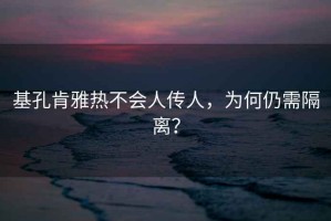 基孔肯雅熱不會(huì )人傳人，為何仍需隔離？