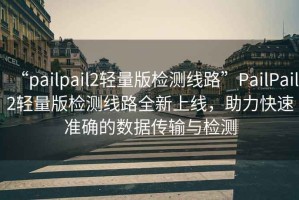 “pailpail2輕量版檢測線(xiàn)路”P(pán)ailPail2輕量版檢測線(xiàn)路全新上線(xiàn)，助力快速準確的數據傳輸與檢測