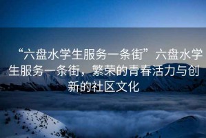 “六盤(pán)水學(xué)生服務(wù)一條街”六盤(pán)水學(xué)生服務(wù)一條街，繁榮的青春活力與創(chuàng  )新的社區文化