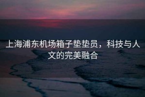 上海浦東機場(chǎng)箱子墊墊員，科技與人文的完美融合