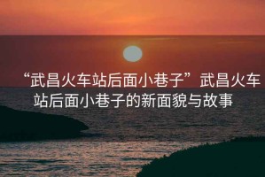 “武昌火車(chē)站后面小巷子”武昌火車(chē)站后面小巷子的新面貌與故事