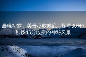 晨曦初露，美景盡收眼底—探尋30分7秒按45分收費的神秘風(fēng)景