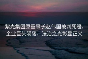紫光集團原董事長(cháng)趙偉國被判死緩，企業(yè)巨頭隕落，法治之光彰顯正義