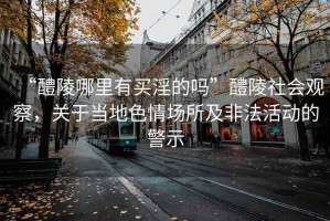 “醴陵哪里有買(mǎi)淫的嗎”醴陵社會(huì )觀(guān)察，關(guān)于當地色情場(chǎng)所及非法活動(dòng)的警示