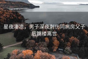 星夜凄涼，男子深夜刺傷同病房父子后跳樓離世