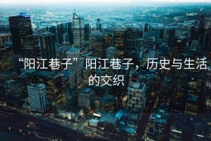 “陽(yáng)江巷子”陽(yáng)江巷子，歷史與生活的交織