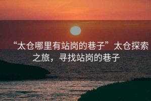 “太倉哪里有站崗的巷子”太倉探索之旅，尋找站崗的巷子