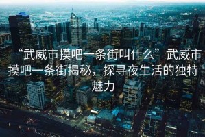 “武威市摸吧一條街叫什么”武威市摸吧一條街揭秘，探尋夜生活的獨特魅力