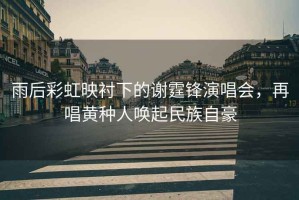 雨后彩虹映襯下的謝霆鋒演唱會(huì )，再唱黃種人喚起民族自豪