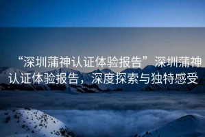 “深圳蒲神認證體驗報告”深圳蒲神認證體驗報告，深度探索與獨特感受