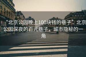 “北京公園晚上100塊錢(qián)的巷子”北京公園深夜的百元巷子，城市隱秘的一角