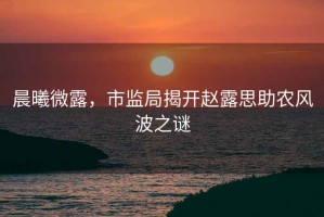晨曦微露，市監局揭開(kāi)趙露思助農風(fēng)波之謎