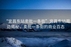 “宜昌東站賣(mài)批一條街”宜昌東站周邊揭秘，賣(mài)批一條街的商業(yè)百態(tài)