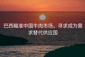 巴西瞄準中國牛肉市場(chǎng)，尋求成為需求替代供應國