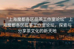 “上海魔都各區品茶工作室論壇”上海魔都各區品茶工作室論壇，探索與分享茶文化的新天地