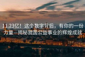 11.23億！這個(gè)數字背后，有你的一份力量—揭秘我國公益事業(yè)的輝煌成就