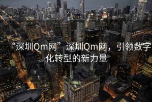 “深圳Qm網(wǎng)”深圳Qm網(wǎng)，引領(lǐng)數字化轉型的新力量
