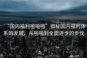 “國內福利啪啪啪”揭秘國內福利體系的發(fā)展，從啪啪到全面進(jìn)步的步伐