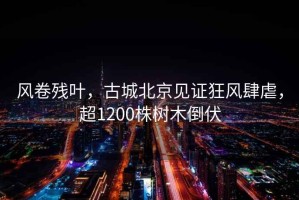 風(fēng)卷殘葉，古城北京見(jiàn)證狂風(fēng)肆虐，超1200株樹(shù)木倒伏