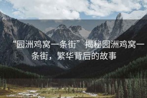 “園洲雞窩一條街”揭秘園洲雞窩一條街，繁華背后的故事