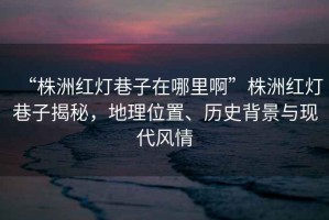 “株洲紅燈巷子在哪里啊”株洲紅燈巷子揭秘，地理位置、歷史背景與現代風(fēng)情