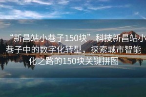 “新昌站小巷子150塊”科技新昌站小巷子中的數字化轉型，探索城市智能化之路的150塊關(guān)鍵拼圖