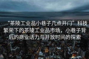 “茶陵工業(yè)品小巷子幾點(diǎn)開(kāi)門(mén)”科技繁榮下的茶陵工業(yè)品市場(chǎng)，小巷子背后的商業(yè)活力與開(kāi)放時(shí)間的探索