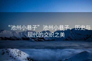 “池州小巷子”池州小巷子，歷史與現代的交織之美