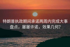 特朗普執政期間承諾兩周內完成大事盤(pán)點(diǎn)，屢屢許諾，效果幾何？