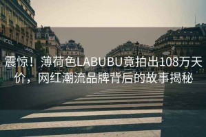 震驚！薄荷色LABUBU竟拍出108萬(wàn)天價(jià)，網(wǎng)紅潮流品牌背后的故事揭秘