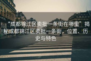 “成都錦江區賣(mài)批一條街在哪里”揭秘成都錦江區賣(mài)批一條街，位置、歷史與特色
