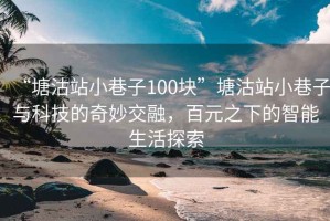 “塘沽站小巷子100塊”塘沽站小巷子與科技的奇妙交融，百元之下的智能生活探索