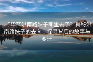 “畢節洪南路妹子哪里去了”揭秘洪南路妹子的去向，探尋背后的故事與變遷