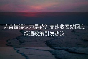 蒜苔被誤認為是花？高速收費站回應綠通政策引發(fā)熱議