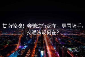 甘南驚魂！奔馳逆行超車(chē)，辱罵騎手，交通法規何在？