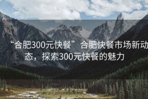 “合肥300元快餐”合肥快餐市場(chǎng)新動(dòng)態(tài)，探索300元快餐的魅力