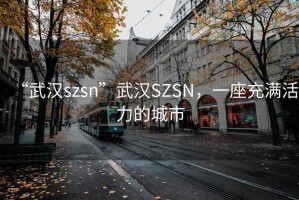 “武漢szsn”武漢SZSN，一座充滿(mǎn)活力的城市