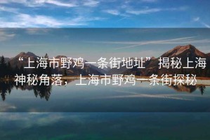 “上海市野雞一條街地址”揭秘上海神秘角落，上海市野雞一條街探秘