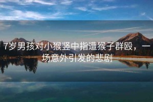 7歲男孩對小猴豎中指遭猴子群毆，一場(chǎng)意外引發(fā)的悲劇