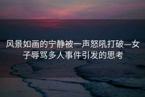 風(fēng)景如畫(huà)的寧靜被一聲怒吼打破—女子辱罵多人事件引發(fā)的思考