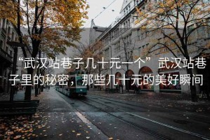 “武漢站巷子幾十元一個(gè)”武漢站巷子里的秘密，那些幾十元的美好瞬間